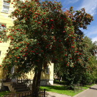 Проспект Ленина