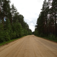 Дорога в Низовицах