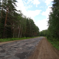 Дорога в Ореховцах