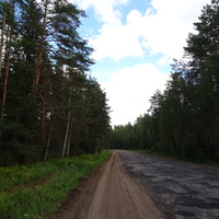 Дорога в Ореховцах