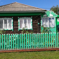 дом на Зеленой с лебедушками