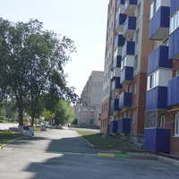 На улице Добровольского.