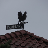 Тойла Мэрэтарэ