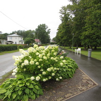 Тойла Мэрэтарэ