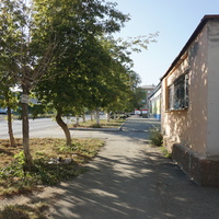 На улице Новосибирской.