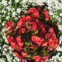 Keskallee, Кохтла-Ярве