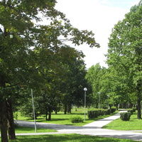 Turu, Кохтла-Ярве, аллея в городском парке