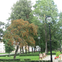 Кохтла-Ярве