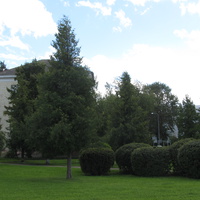 Кохтла-Ярве