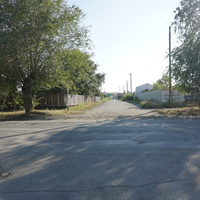 На улице Новосибирской.