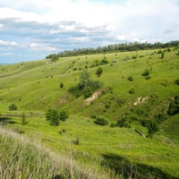 Природа села  Кривцово