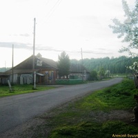 Качулька, ул.Курятская, 2011г.