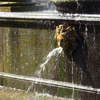 Львиный каскад