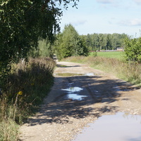 Дорога в Белыхино