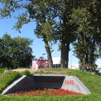 Аллея в Пулковском парке