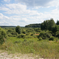 Вид в сторону озера Иванковское