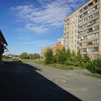 На улице Пацаева.