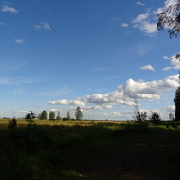 Граница Павловского парка