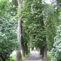 Нарва, район Кренгольма,  парк рядом с ДК