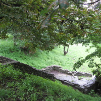 S. Lavretsovi, Нарва