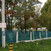 Дом престарелых