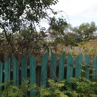 Рыбацкая улица