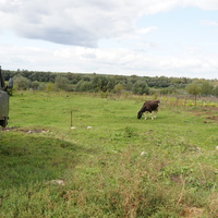 Долина реки Оки