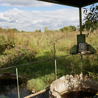 Святой источник