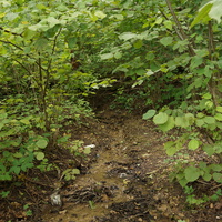 Рыбацкая слобода