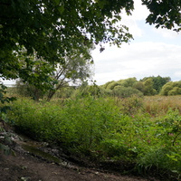 Рыбацкая слобода, долина реки Ока