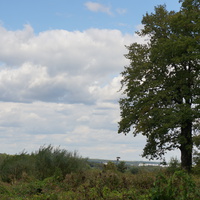 Рыбацкая слобода, долина реки Ока