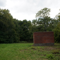 Участок в лесу