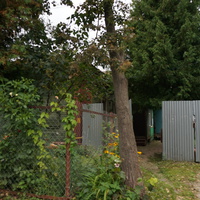 Пушкинская улица