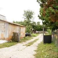 Пушкинская улица