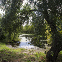 река Ольховая