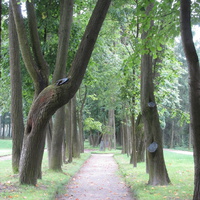 Парк Гатчинского дворца