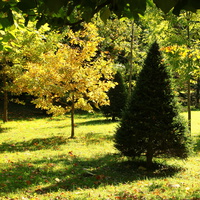 Нижний парк