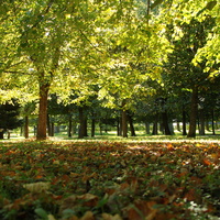 Нижний парк