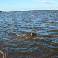 Финский залив