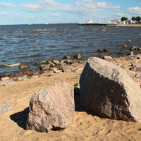 Берег Финского залива