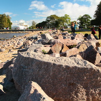 Берег Финского залива