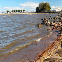 Берег Финского залива