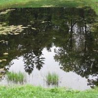 Прудик в дворцовом парке Гатчины