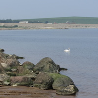 берег Финского залива в Силламяэ, вид на пассажирский порт