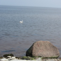 берег Финского залива в Силламяэ