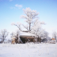 Зима Сидорівці (Курятник)