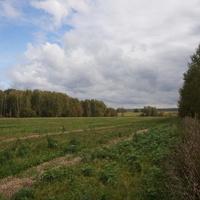 Поле у деревни Белыхино, с видом на Карпово
