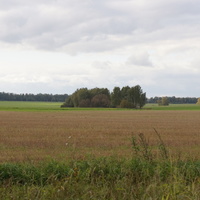 Островок в поле