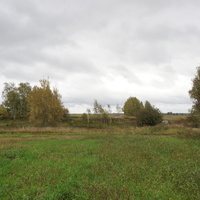 Природа Белыхино, осень 2016