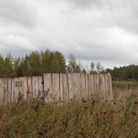 Природа Белыхино, осень 2016